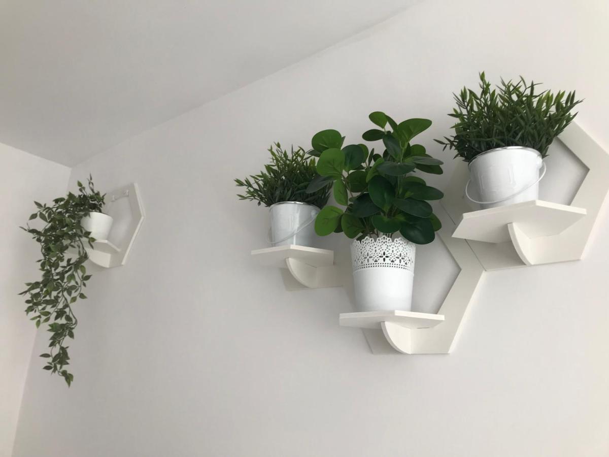 Kwadrat Apartment
